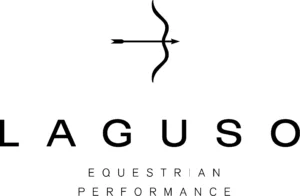 laguso logo neu1.jpg